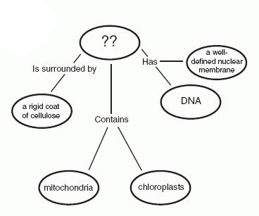 ConceptMap.gif