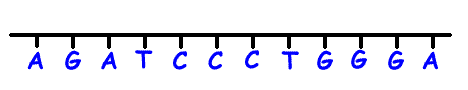 DNA_RNA1.gif