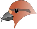 bird10.jpg