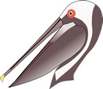 bird12.jpg