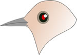 bird9.jpg