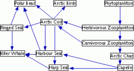 FoodWeb.gif