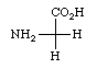 glycine.gif