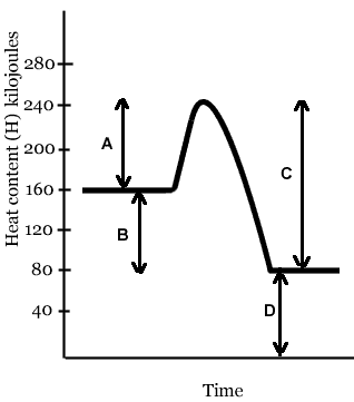 nrgdiagram3b.gif