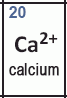 Periodic Table of Ions